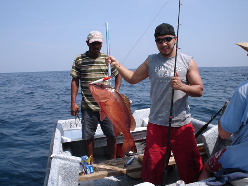 Red Snapper Panama.
