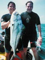 Rooster Fish, Fishing In Panama.