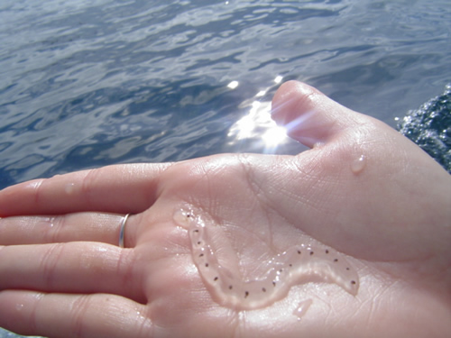 Check out the little worn!.