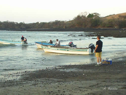 Fishing in Los Frailes Pedasi, El Ciruelo.