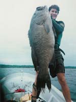 Grouper Catch.