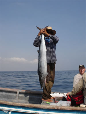 Hand Fishing Wahoo In Pedasi El Ciruelo.