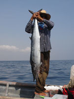 Hand Fishing Wahoo In Pedasi El Ciruelo.