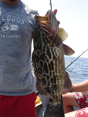 Isla Iguana, Grouper Fishing.
