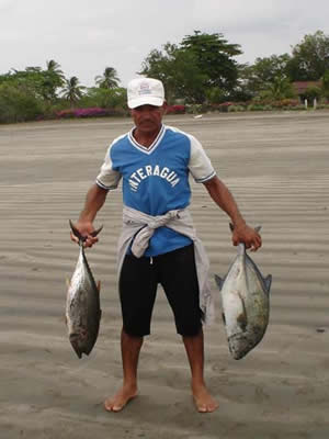 Jack Crevalle And Tuna.