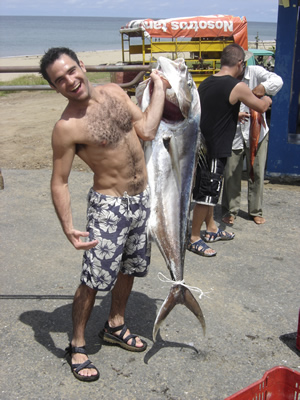Rooster fish fishing in panama