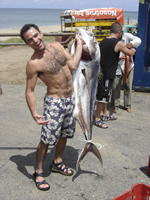 Rooster fish fishing in panama.
