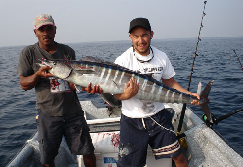 Roosterfish Charter Fishing, Tuna deep sea fishing, wahoo deep sea fishing, panama tuna coast, panama wahoo fishing, panama tuna fishing, tuna fishing charter, wahoo fishing charter, tuna sport fishing charter, wahoo sport fishing charter, tuna fishing guide, wahoo fishing guide, big eye tuna fishing, tuna fly fishing trip, wahoo fly fishing trip, tuna sport fishing charters, wahoo sport fishing charters, wahoo fishing trip, tuna fishing trip, tuna sportfishing charter, wahoo sportfishing charter, tuna fly fishing trips, wahoo fly fishing trips, tuna fishing charters, wahoo fishing charters, panga fishing charters, wahoo sportfishing trips, tuna sportfishing trips, big grouper fishing, wahoo fishing trips, tuna fishing trips, sierra mackerel fishing, tuna charter fishing, wahoo charter fishing, tuna sport fishing guide, wahoo sport fishing guide, fishing blue marlin, wahoo fishing charters, tuna fishing charters, tuna fishing guides, wahoo fishing guides, blue marlin fishing, fishing black marlin, black marlin fishing, tuna sportfishing charters, wahoo sportfishing charters, fishing yellowfin tuna, yellowfin tuna fishing, panama sport fishing, panama wahoo sportfishing, Panama tuna sportfishing, panama panga fishing, panama sportfishing charter, Panama sport fishing charter, fishing charter panama, panama sportfishing trips