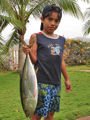 Yellowfin Tuna Catch.