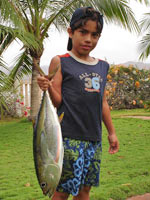 Yellowfin Tuna Catch.
