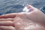 Check out the little worn!.