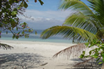 perfect hammock environment on Isla Iguana